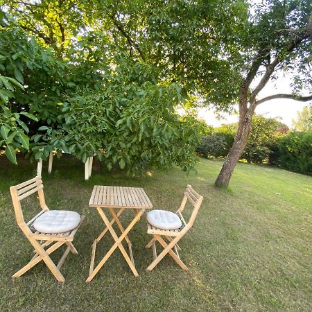 Au Paradis D'Alsace 55 M2 Nature & Relax Ingwiller Exteriör bild