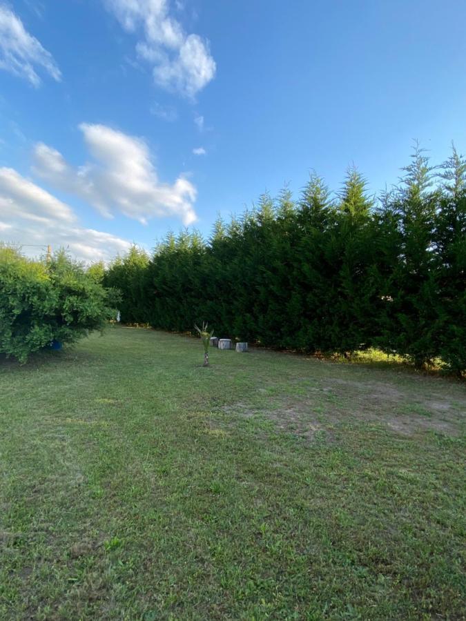 Au Paradis D'Alsace 55 M2 Nature & Relax Ingwiller Exteriör bild