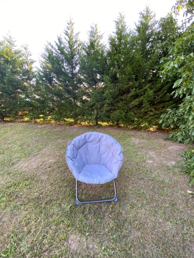 Au Paradis D'Alsace 55 M2 Nature & Relax Ingwiller Exteriör bild