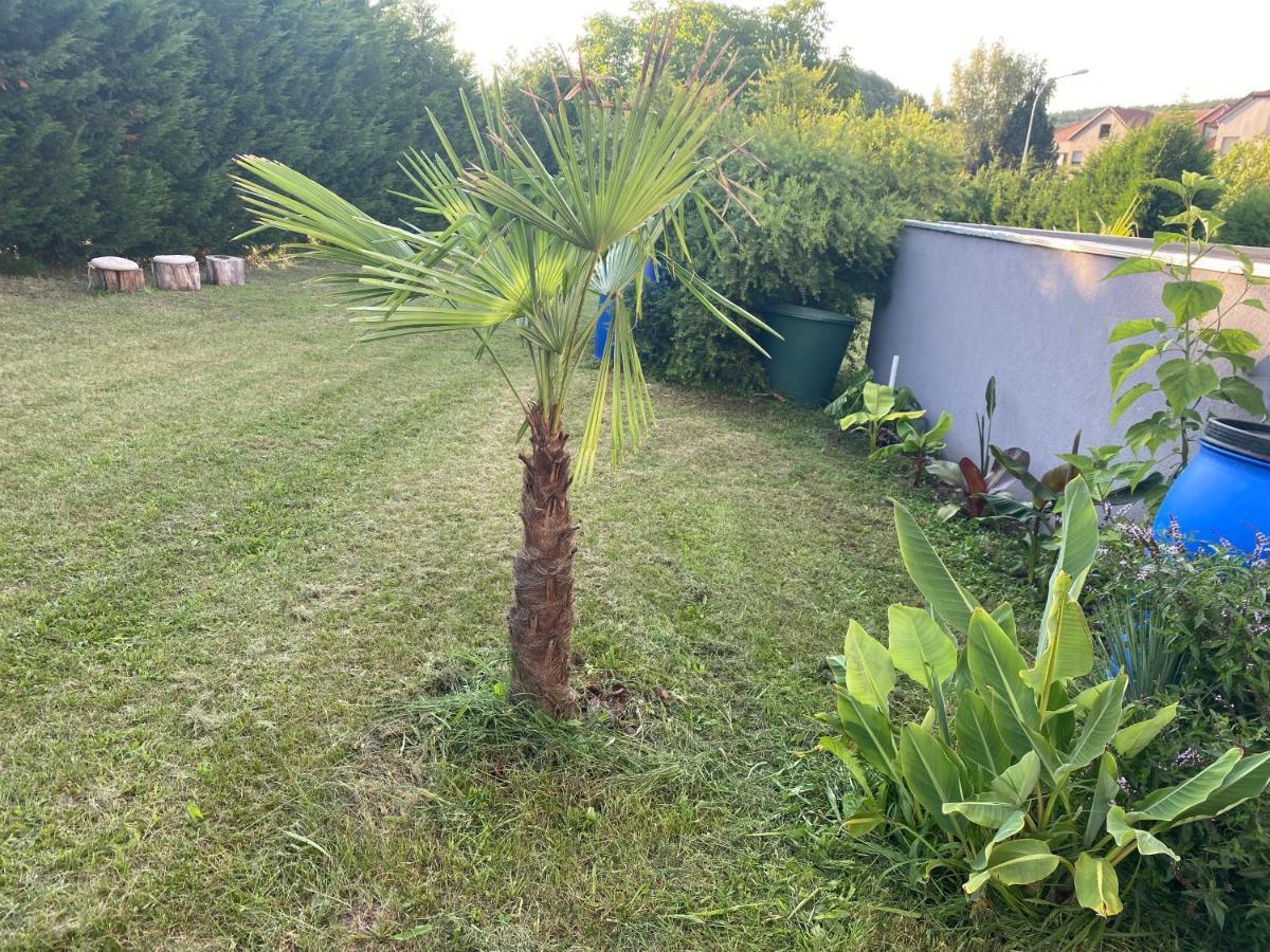 Au Paradis D'Alsace 55 M2 Nature & Relax Ingwiller Exteriör bild