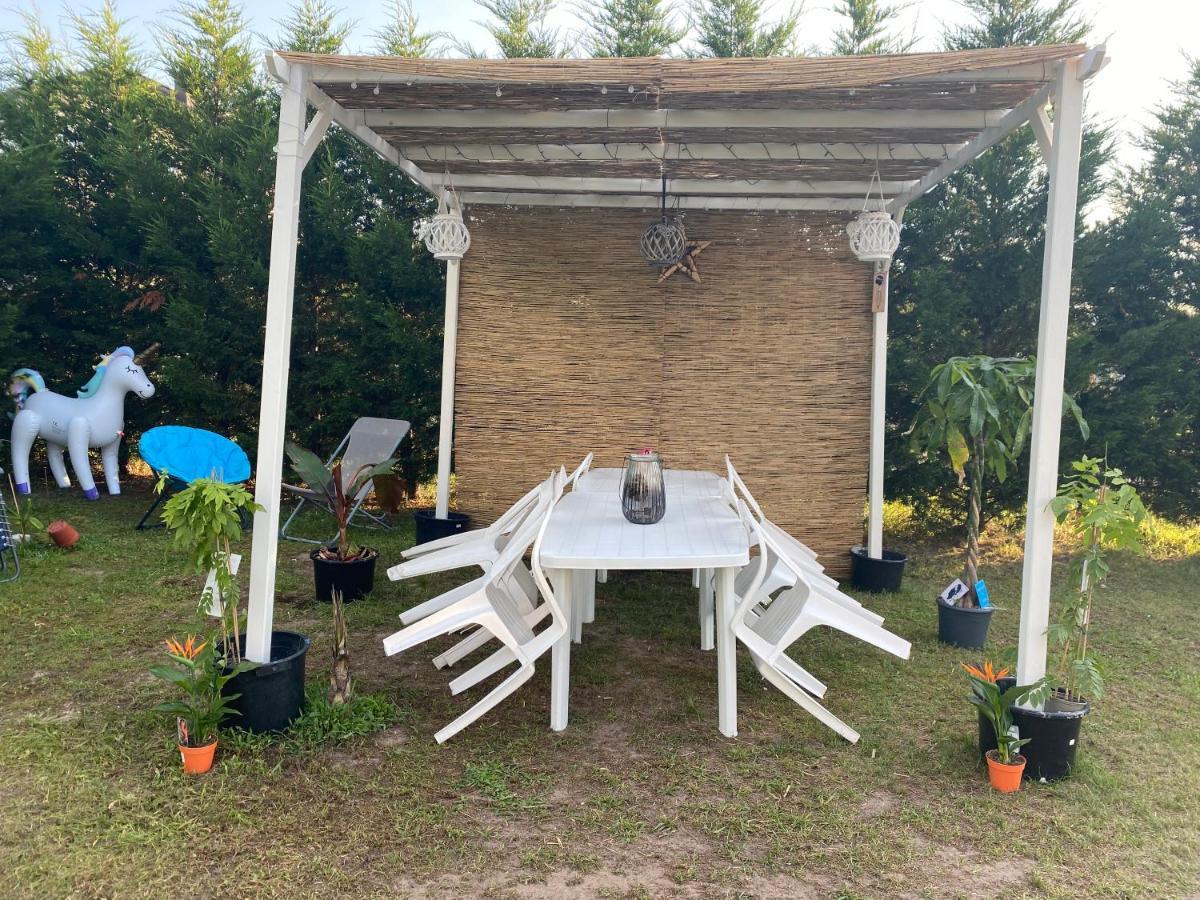 Au Paradis D'Alsace 55 M2 Nature & Relax Ingwiller Exteriör bild
