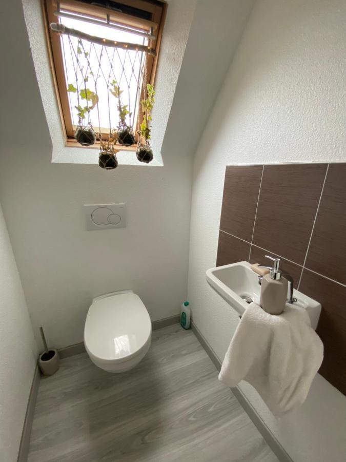 Au Paradis D'Alsace 55 M2 Nature & Relax Ingwiller Exteriör bild