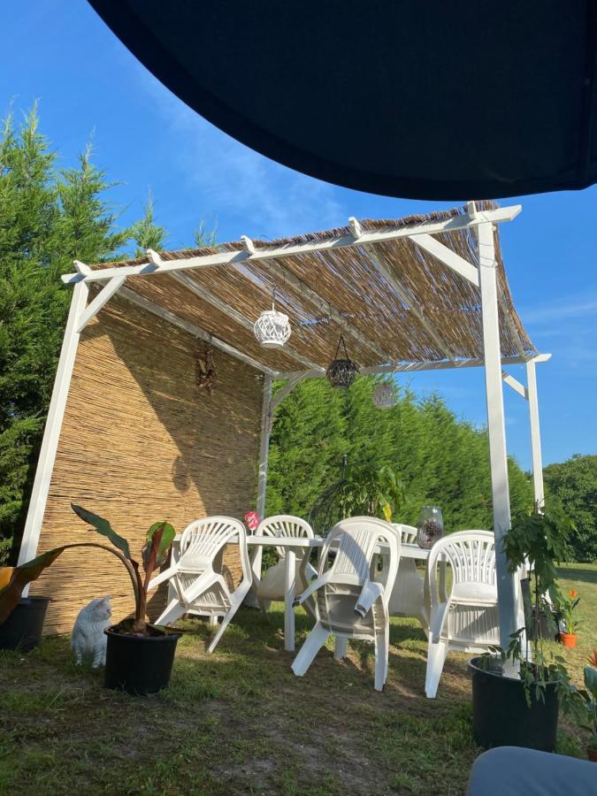 Au Paradis D'Alsace 55 M2 Nature & Relax Ingwiller Exteriör bild