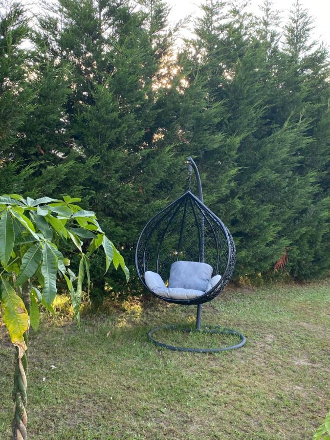 Au Paradis D'Alsace 55 M2 Nature & Relax Ingwiller Exteriör bild